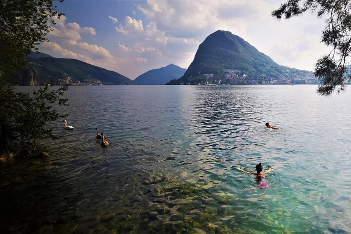 a group of people swimming in a body of water