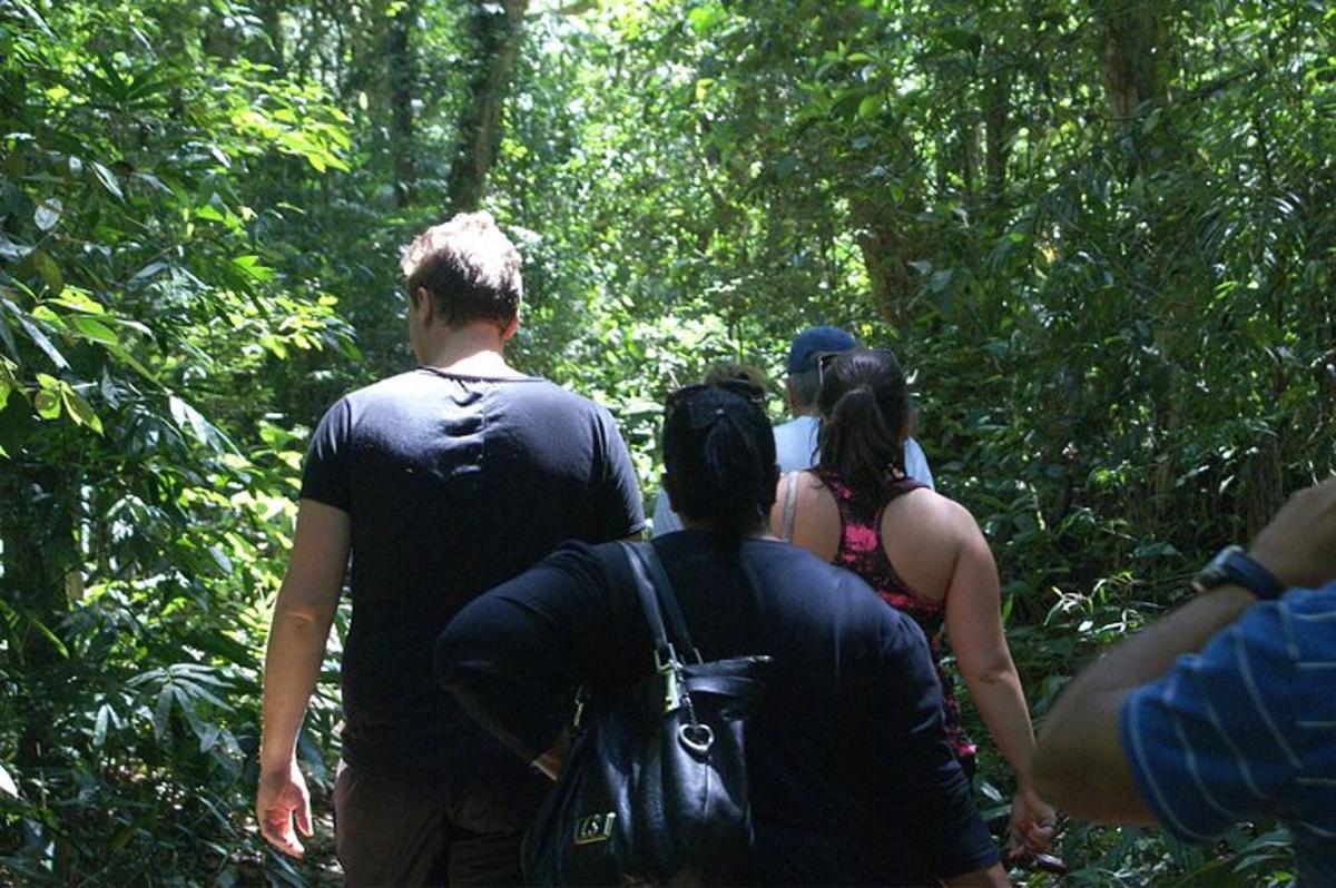 un gruppo di persone che cammina lungo un sentiero nel bosco