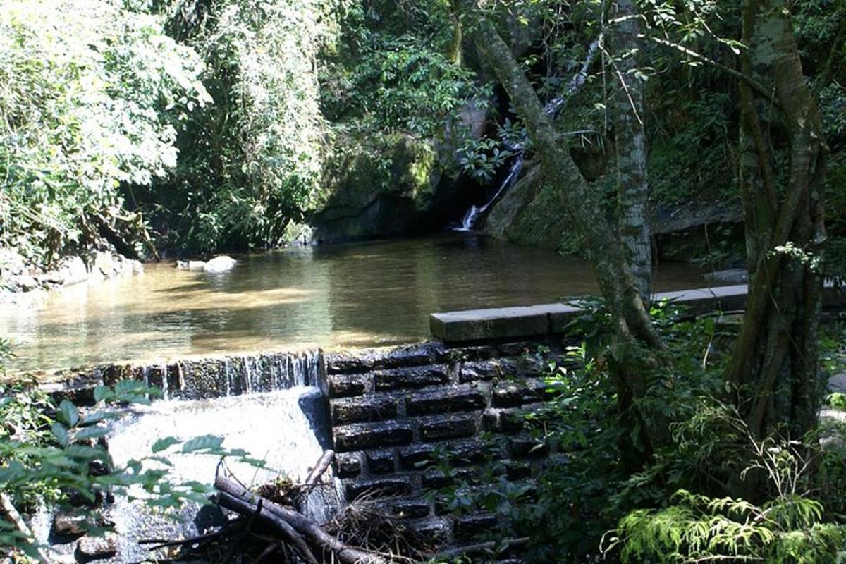 un fiume con una cascata in una foresta