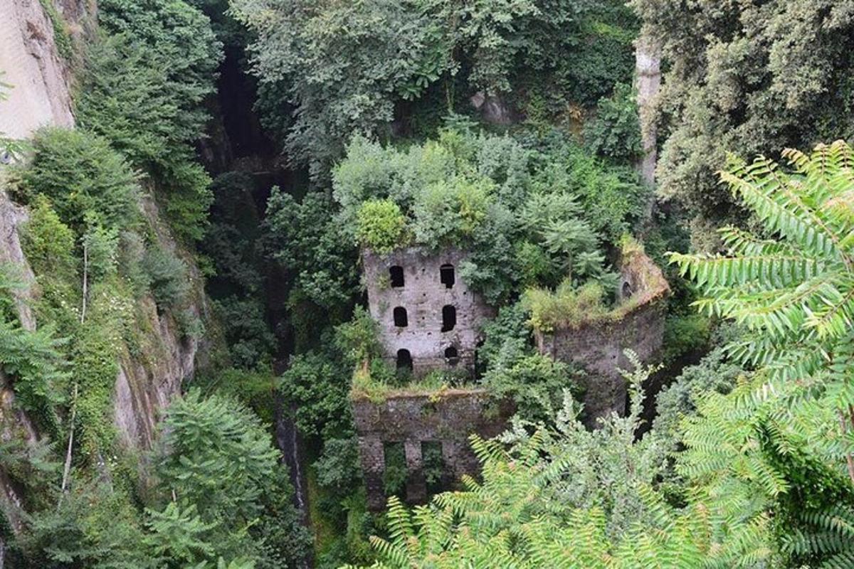Un viejo edificio en medio de un bosque