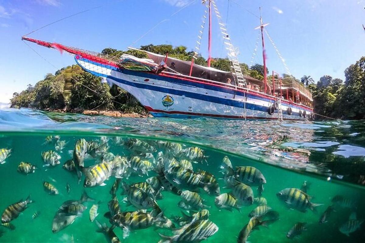 una barca in acqua con un banco di pesci