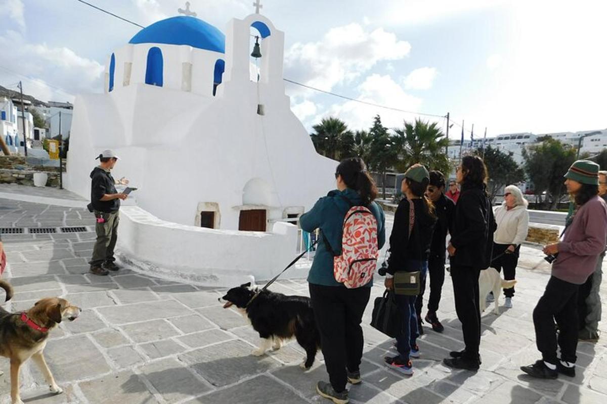 a group of people standing near a church with two dogs