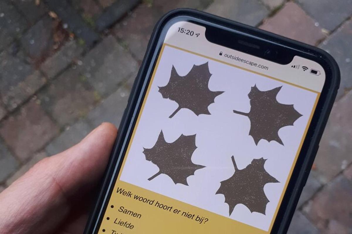 tangan memegang telefon bimbit dengan gambar daun maple