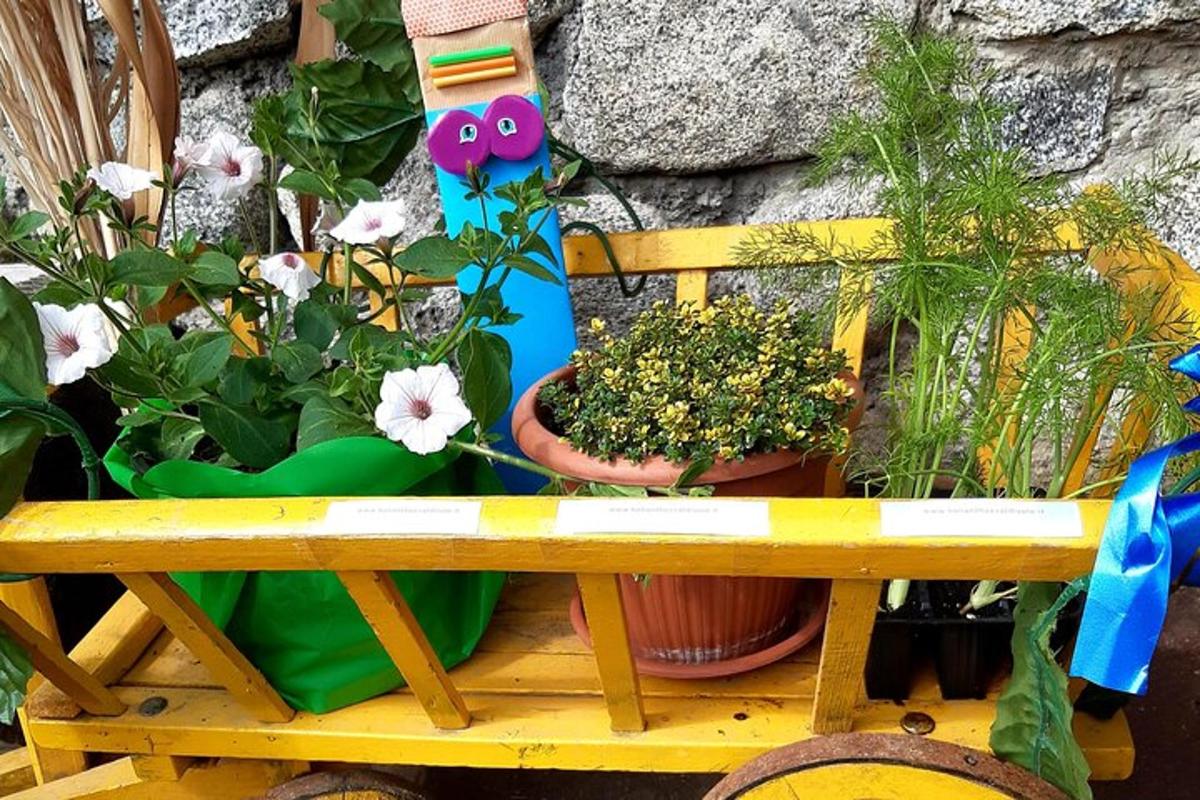 a wooden bench with plants and flowers on it