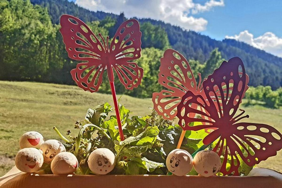 two butterflies on a plant in a window