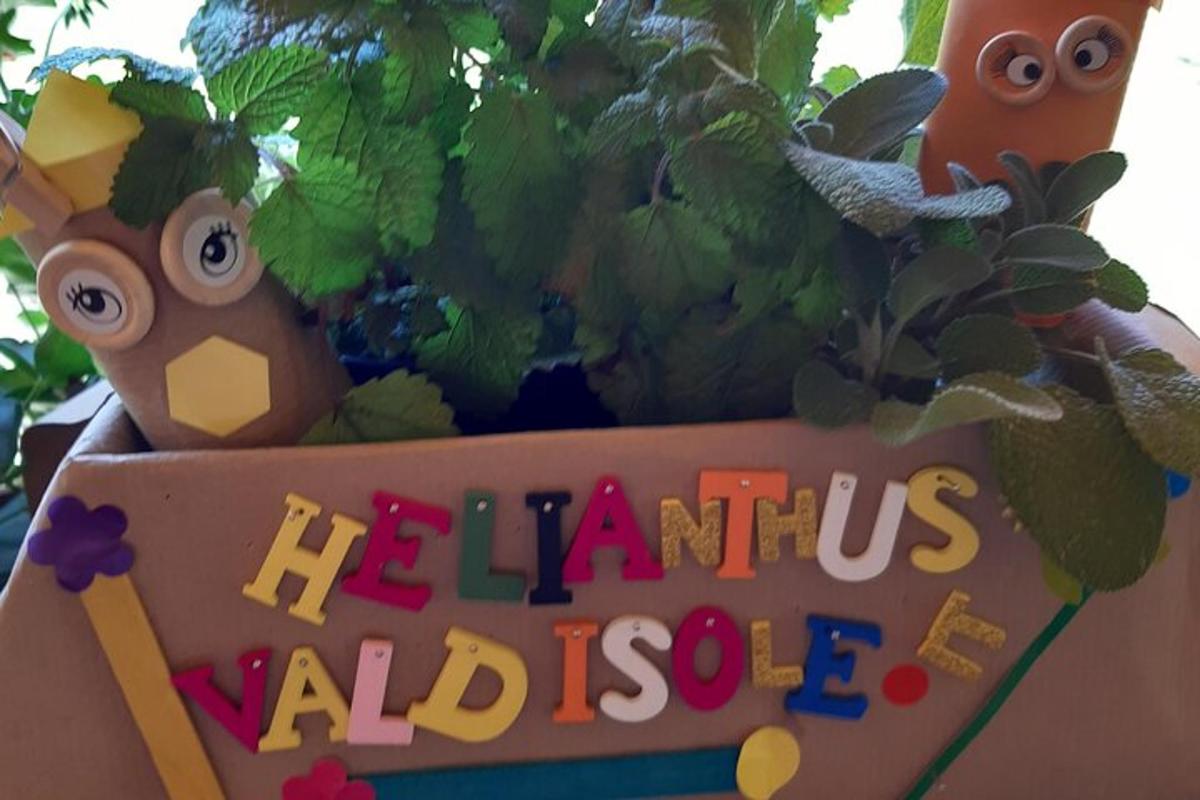 a sign that says his farmitas adobe with a plant