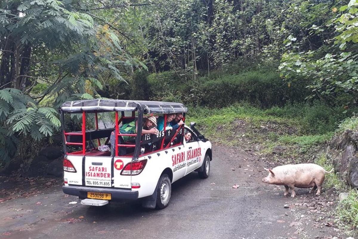 a white car driving down a dirt road next to a pig