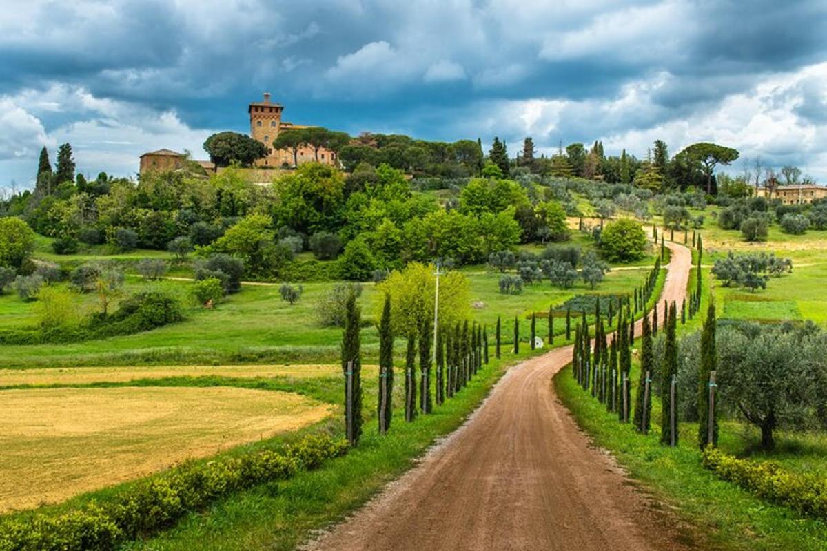 Un camino de tierra a través de un campo con árboles y un castillo.