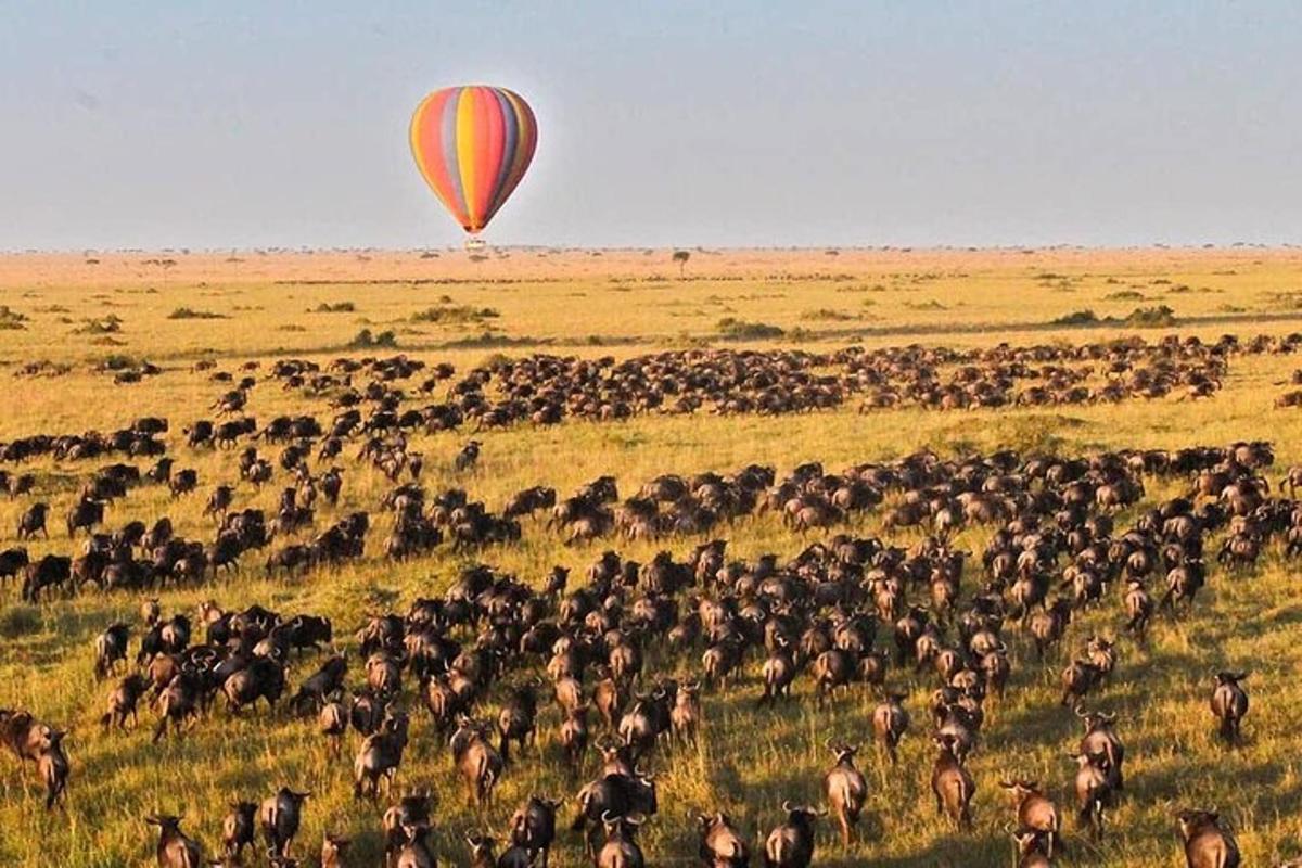 a large herd of animals in a field with a hot air balloon