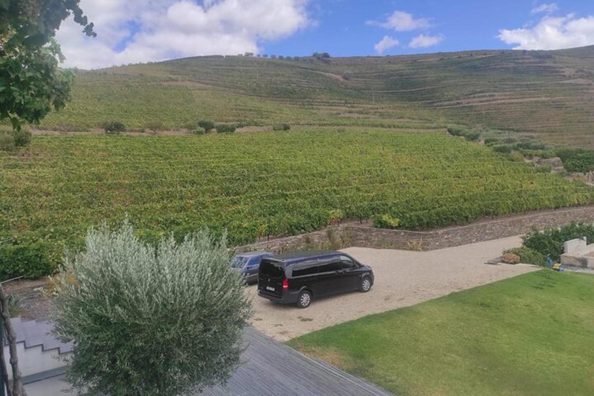 a car parked in a driveway in front of a hill