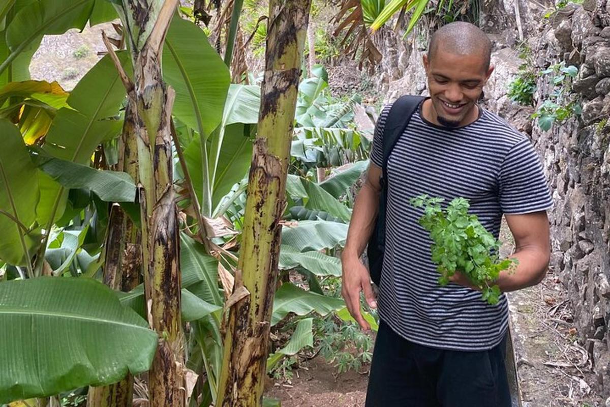 a man is holding a bunch of green grapes