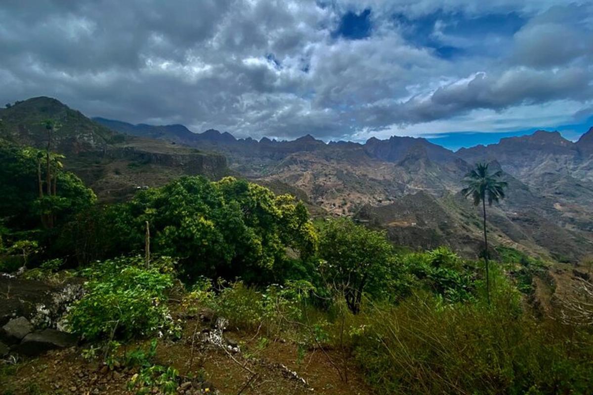 a view of a mountain range with a palm tree