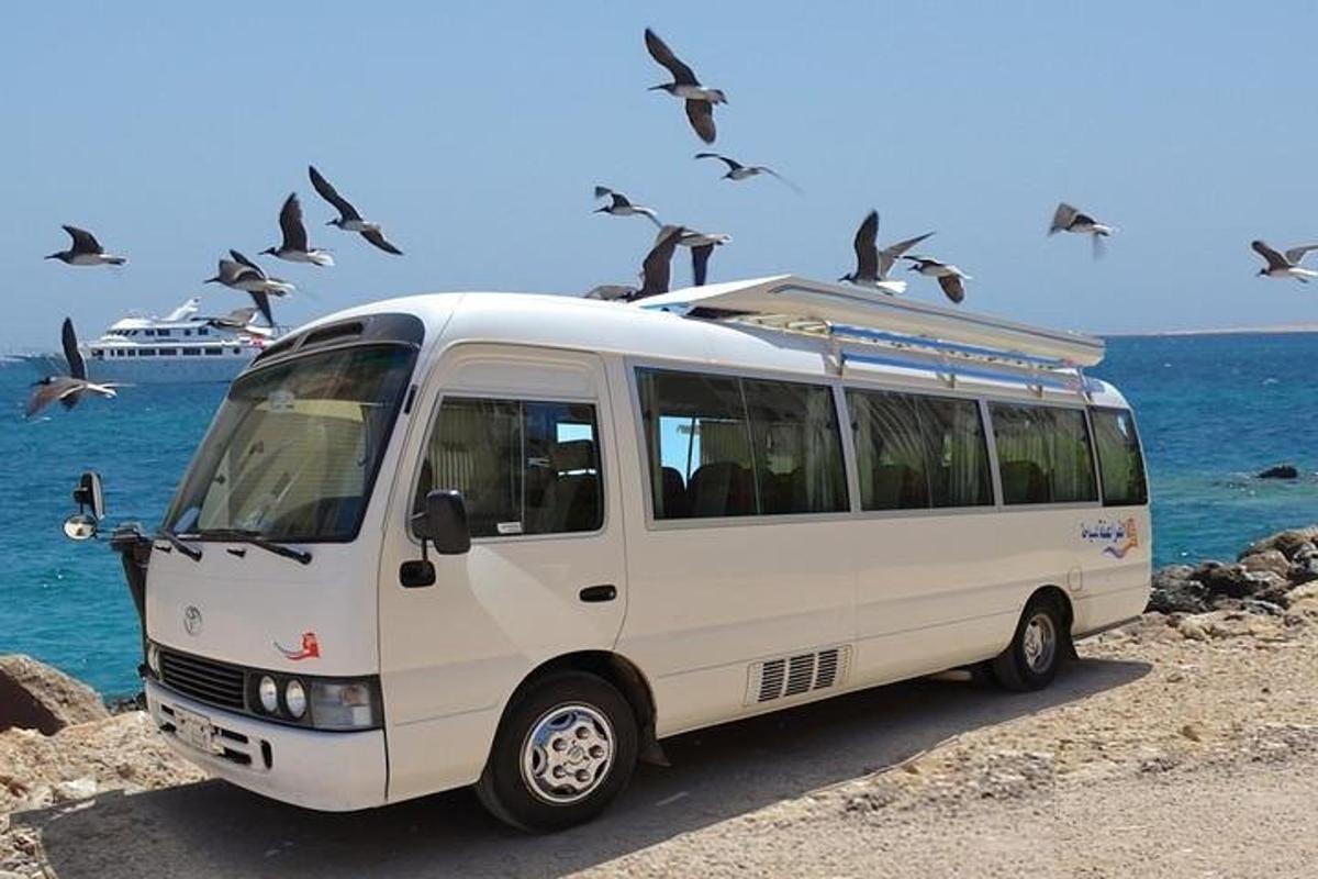 bel kombi parkiran na plaži s pticami na strehi