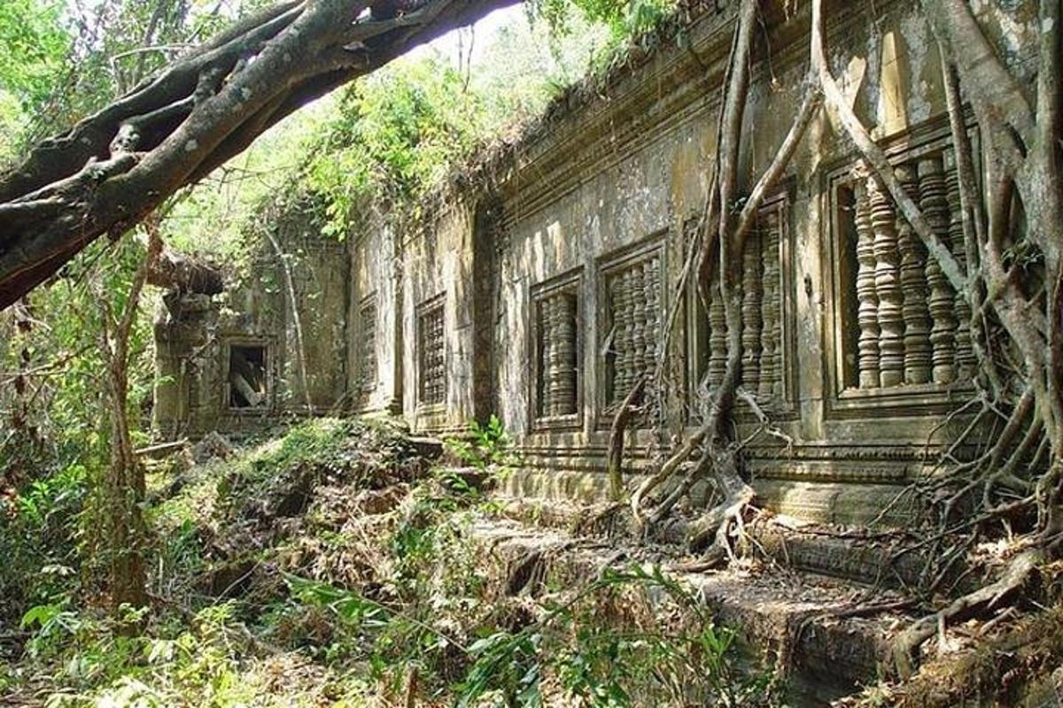 sebuah bangunan lama di tengah-tengah hutan
