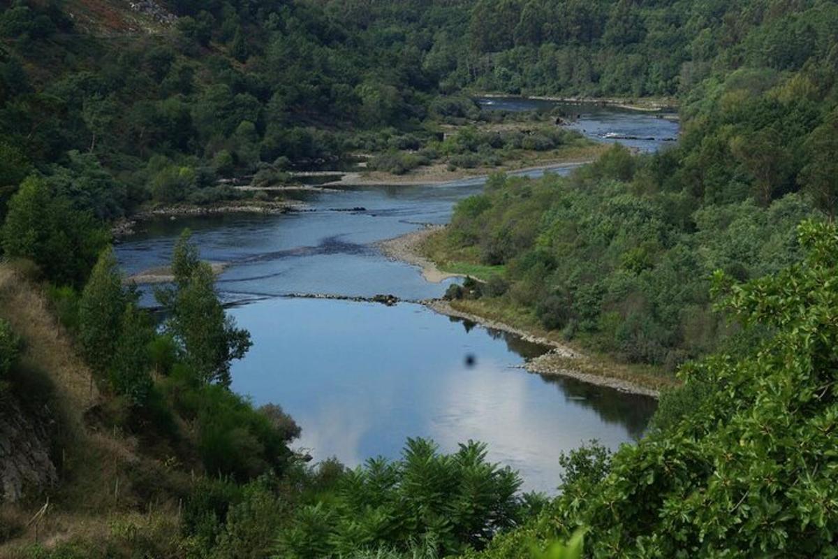 zračni pogled na reko z drevesi