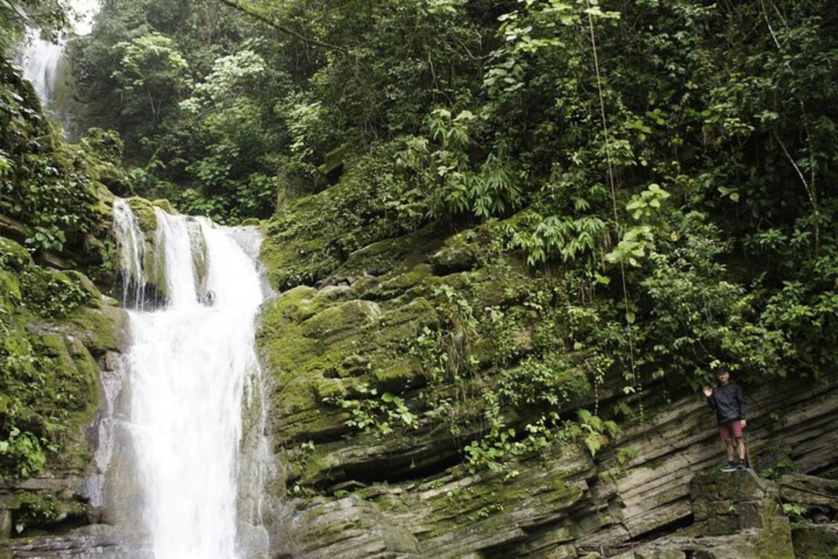 a man standing in front of a waterfall