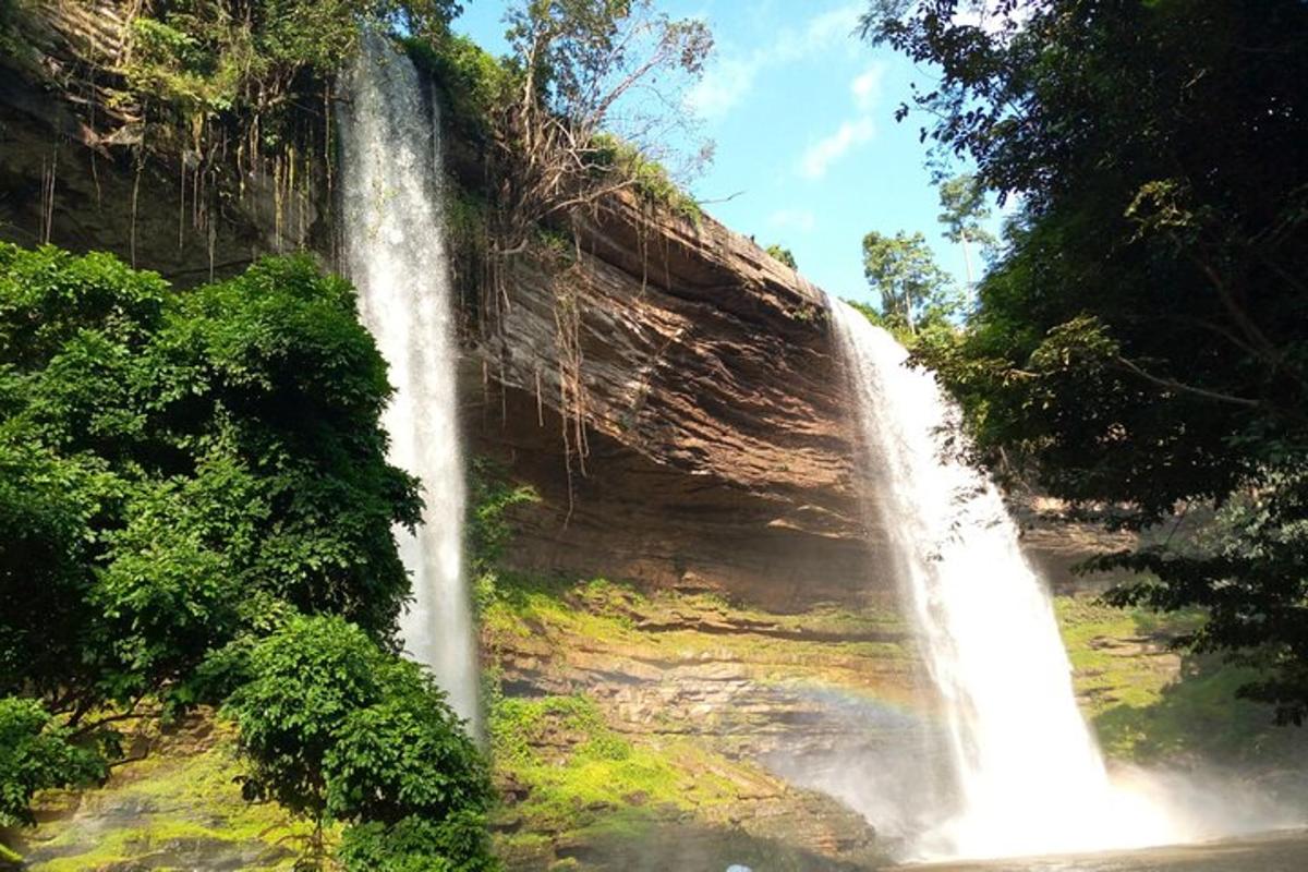 a waterfall in the middle of a forest