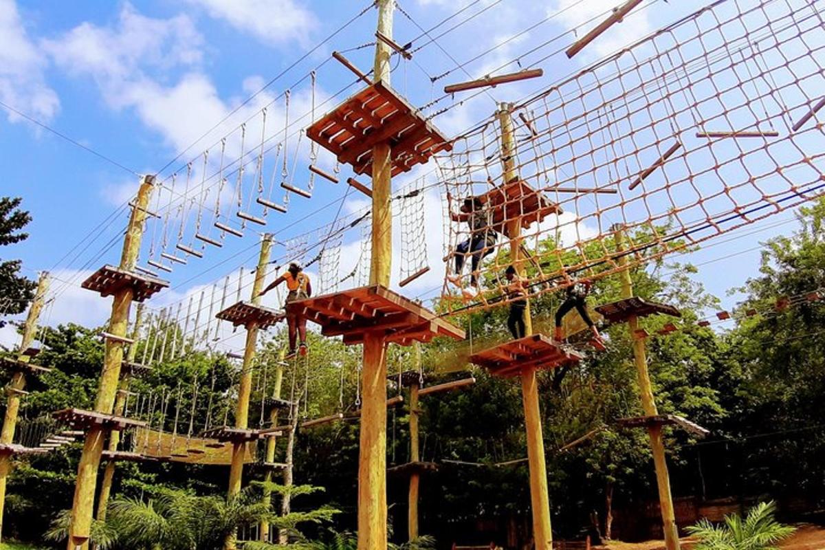 a group of people playing on a ferris structure