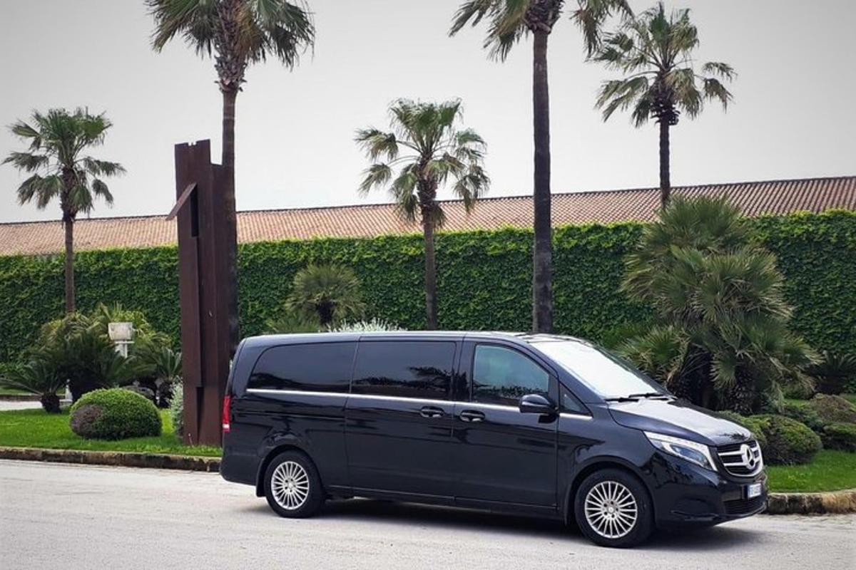 una furgoneta negra aparcada en un aparcament amb palmeres