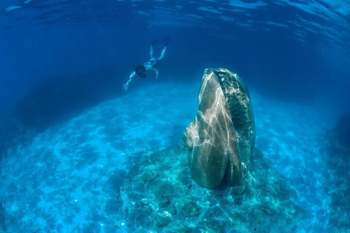 a sea turtle swimming in the ocean with a diver