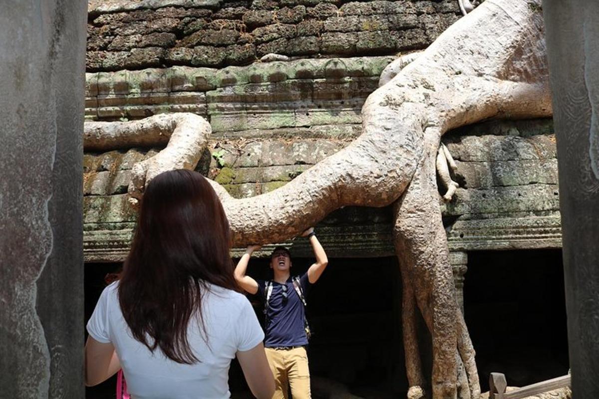 คนสองคนกำลังดูรูปปั้นช้าง