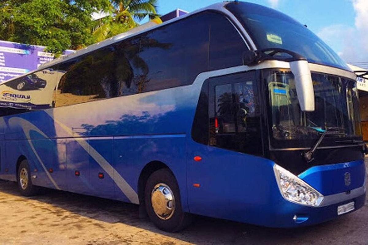 плави аутобус паркиран поред пута