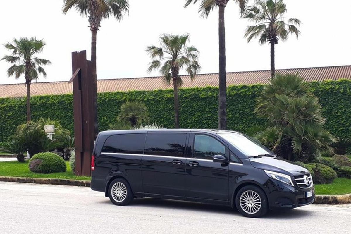sebuah mobil van hitam diparkir di tempat parkir dengan pohon palem