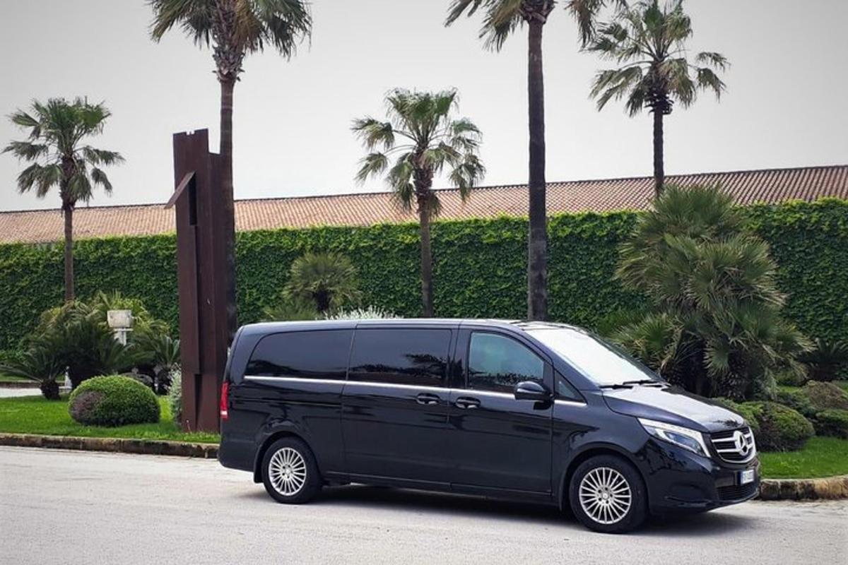sebuah van hitam diletakkan di tempat letak kereta dengan pokok palma
