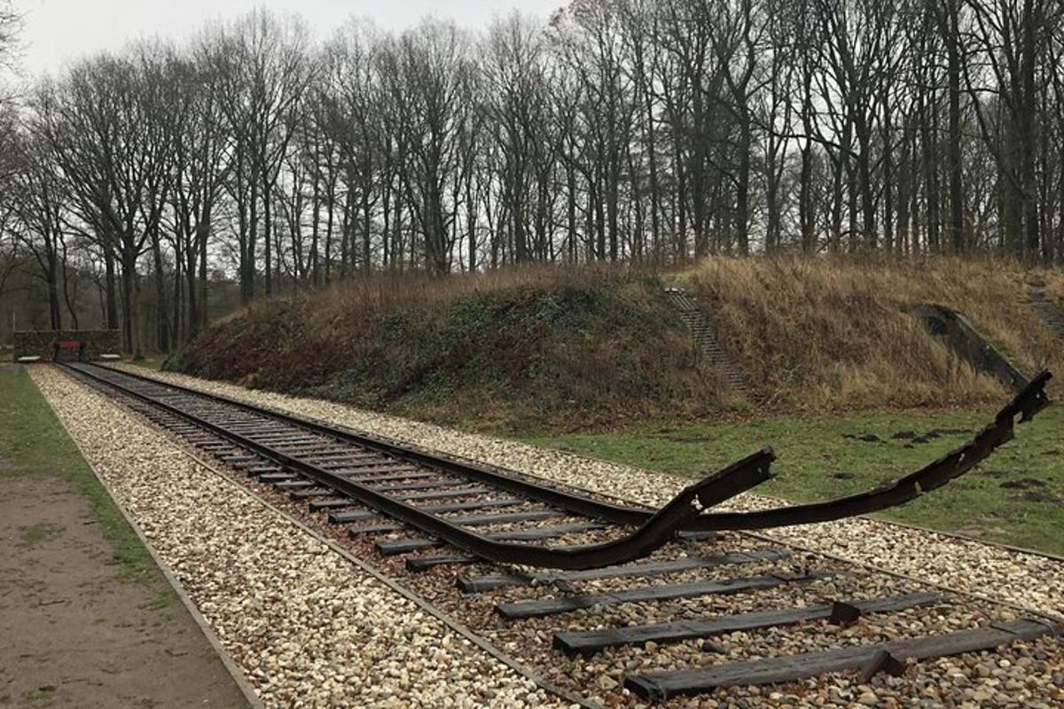 sada železničních kolejí se stromy v pozadí