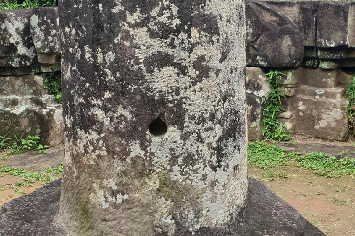 a trunk of a tree with a hole in it