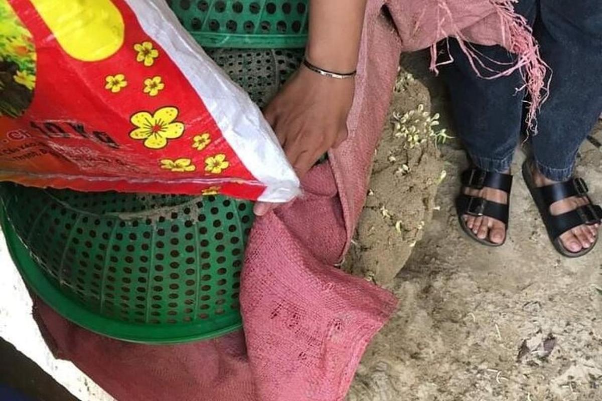 穿着凉鞋的人坐在绿色篮子旁边