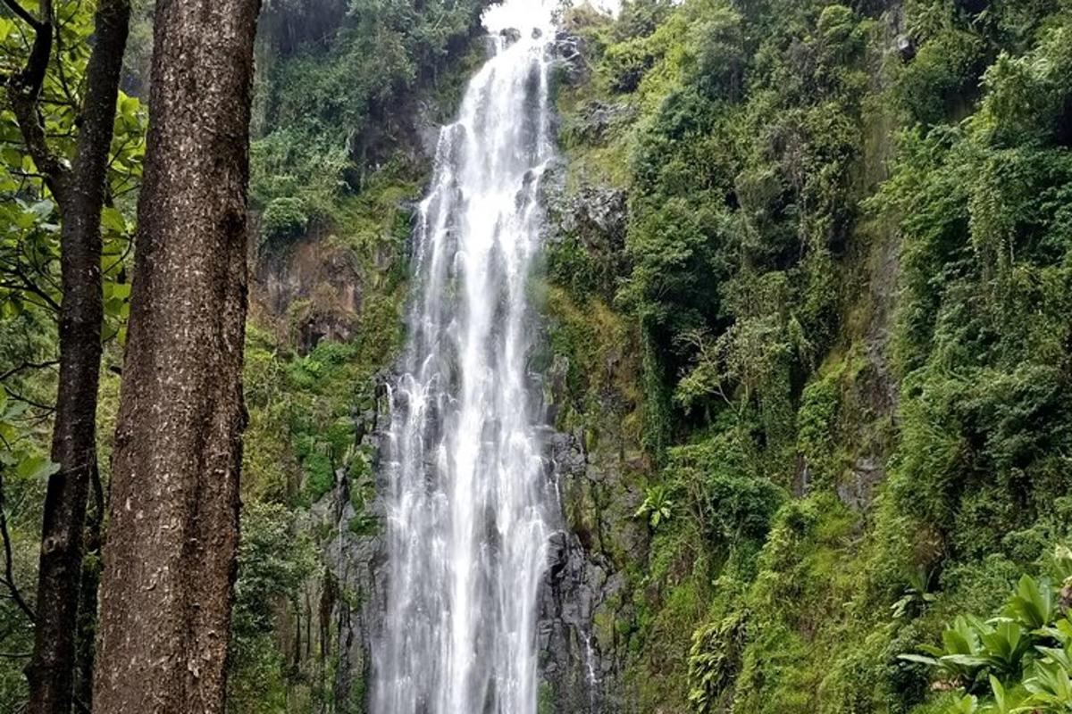 a waterfall on the side of a mountain with trees