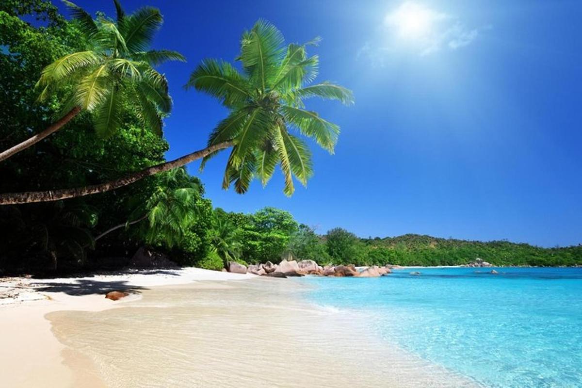 plaža z dvema palmama in modro vodo