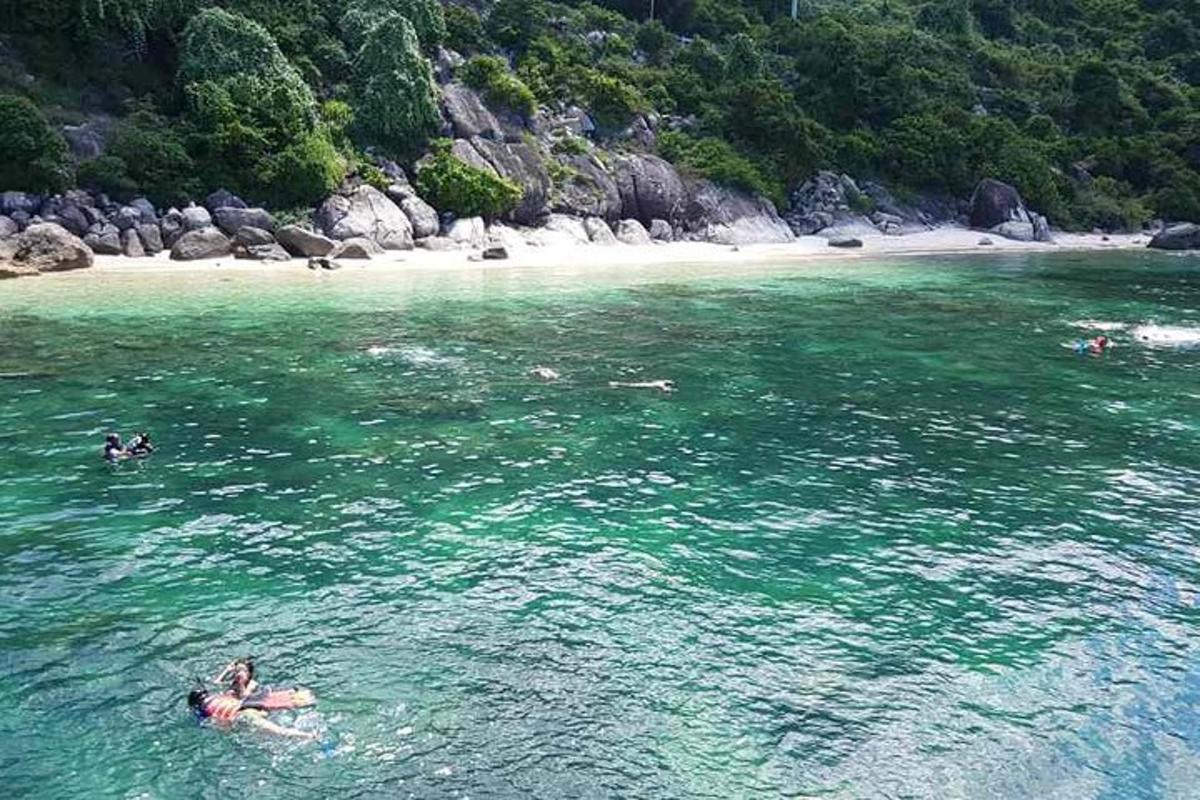 một nhóm người đang bơi trong nước gần bãi biển