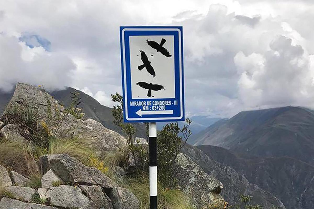 egy hegyoldalon lévő tábla, amelyen madarak repülnek