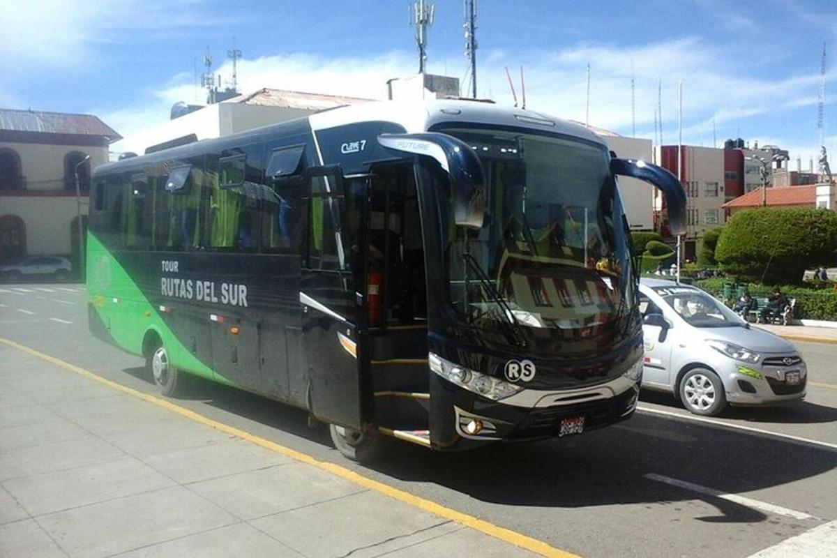 un autobús negre i verd aparcat en un aparcament