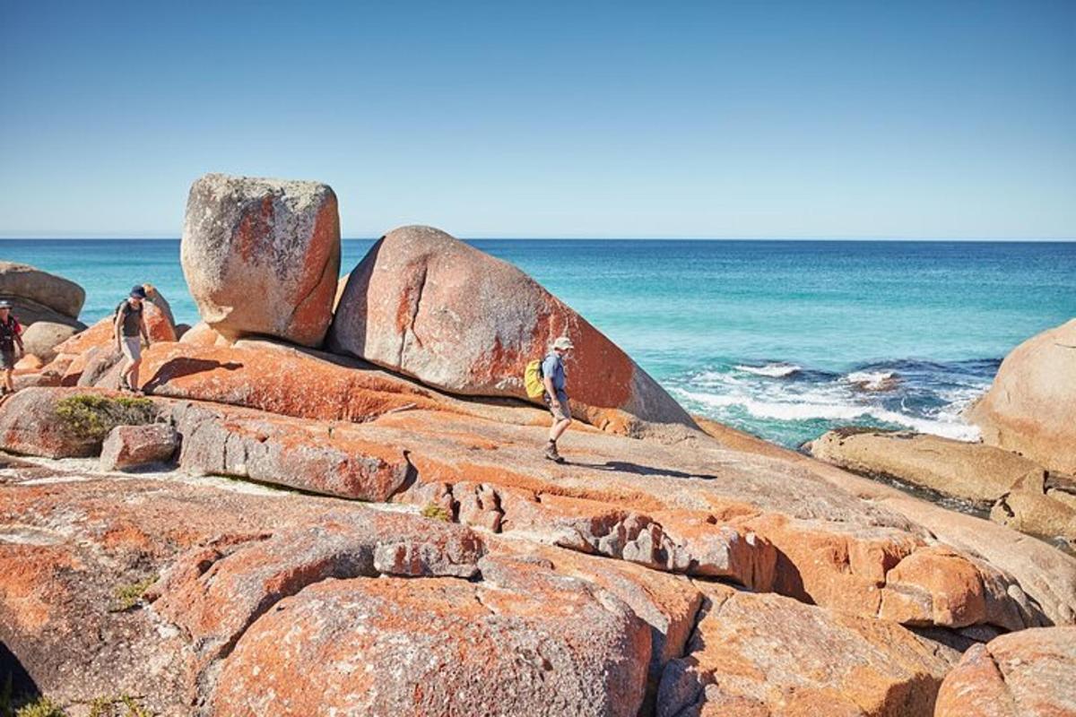 a bird standing on some rocks near the ocean
