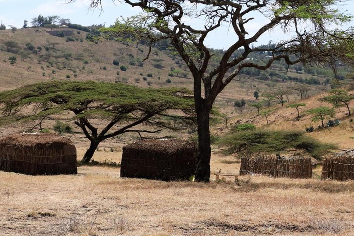 a group of hay bales in a field with a tree