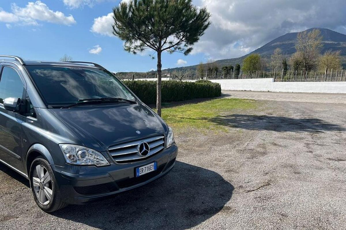 un cotxe aparcat en un aparcament al costat d'un arbre