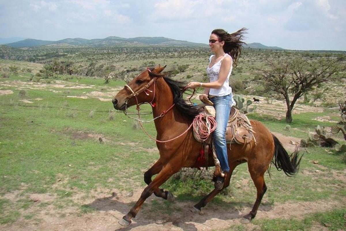 žena jedoucí na koni v poli
