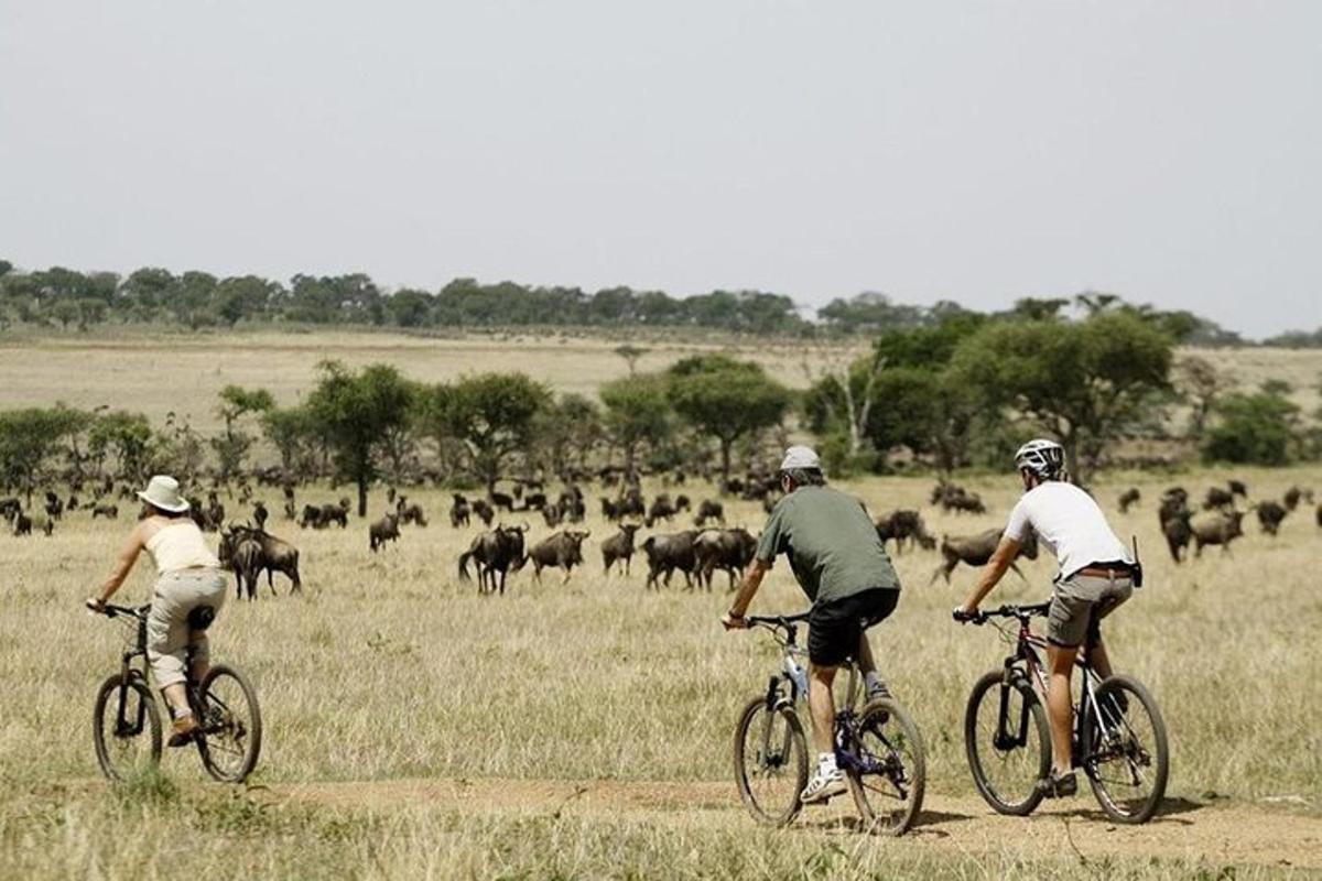 three people riding bikes in a field with a herd of animals