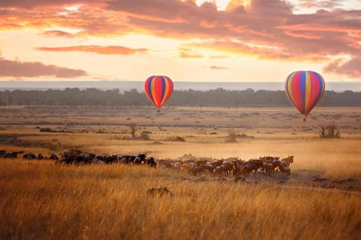 Két hőlégballon repül egy mező felett, egy állatcsordával