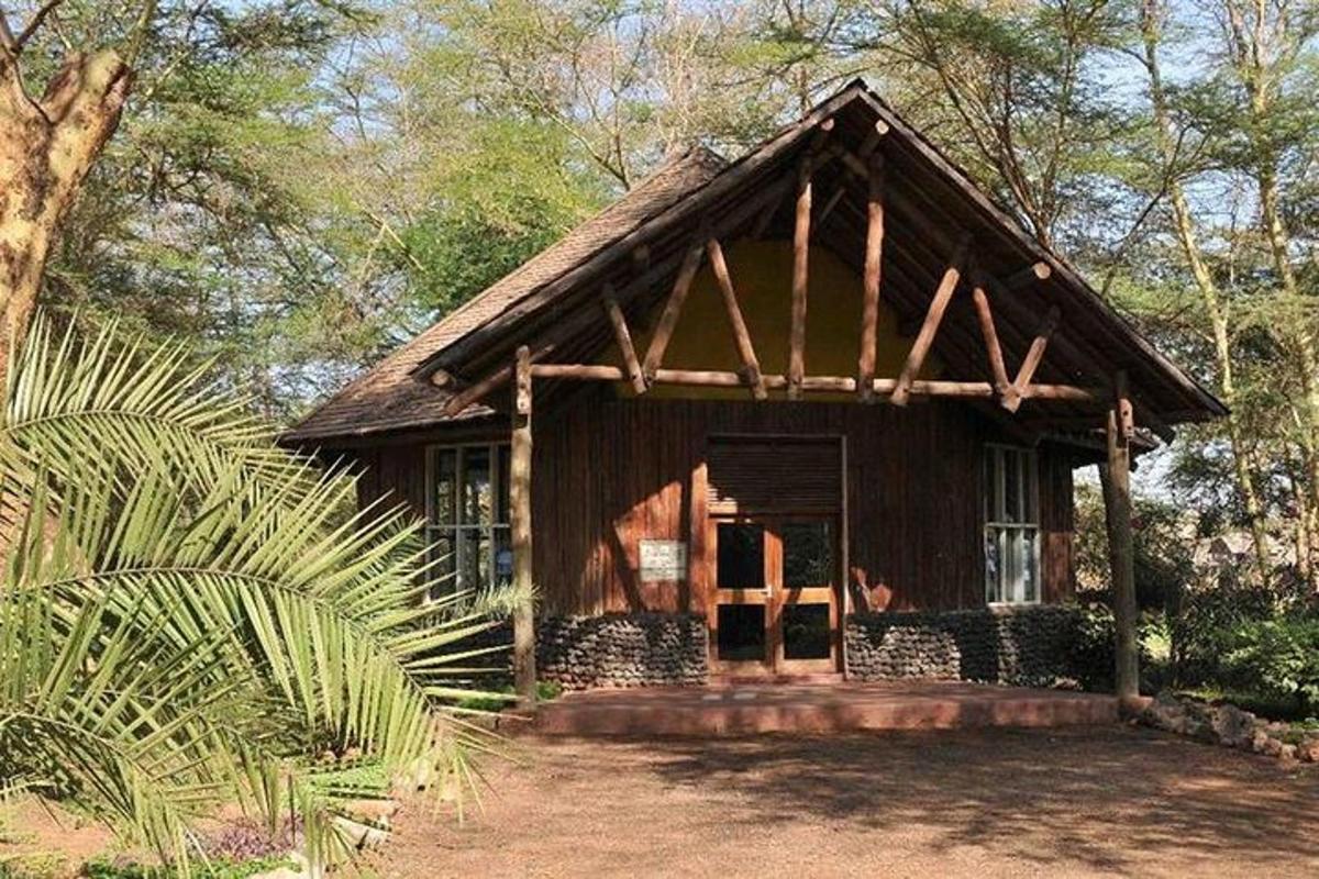 a small wooden house in the middle of a forest