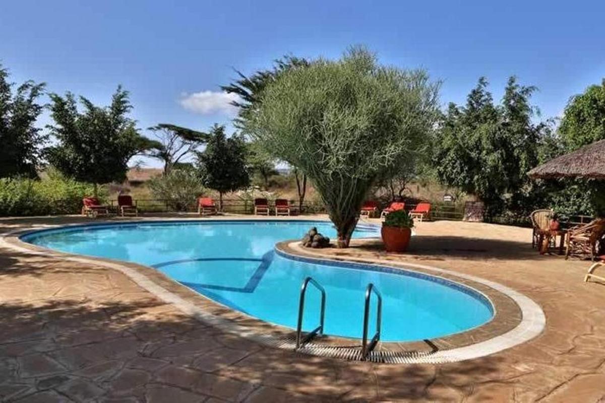 una piscina en un patio con un árbol