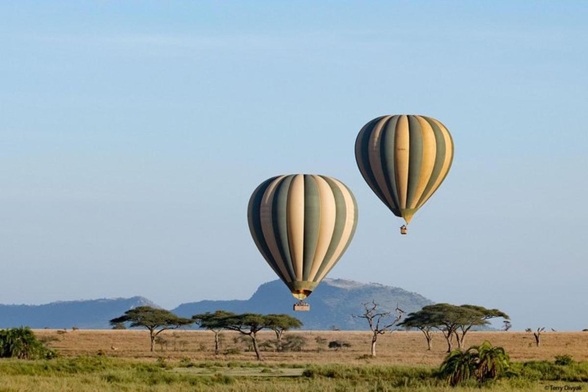due mongolfiere che volano nel cielo sopra un campo