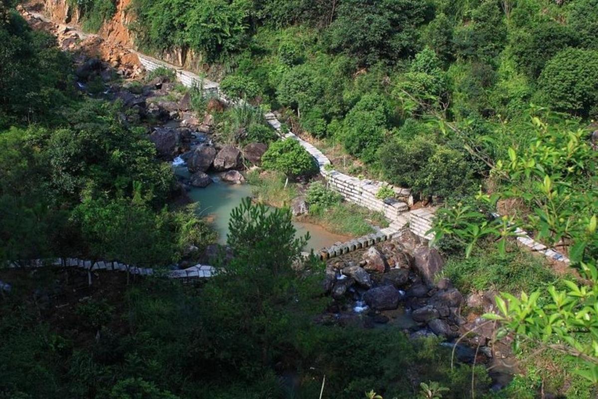 pemandangan udara sungai di hutan