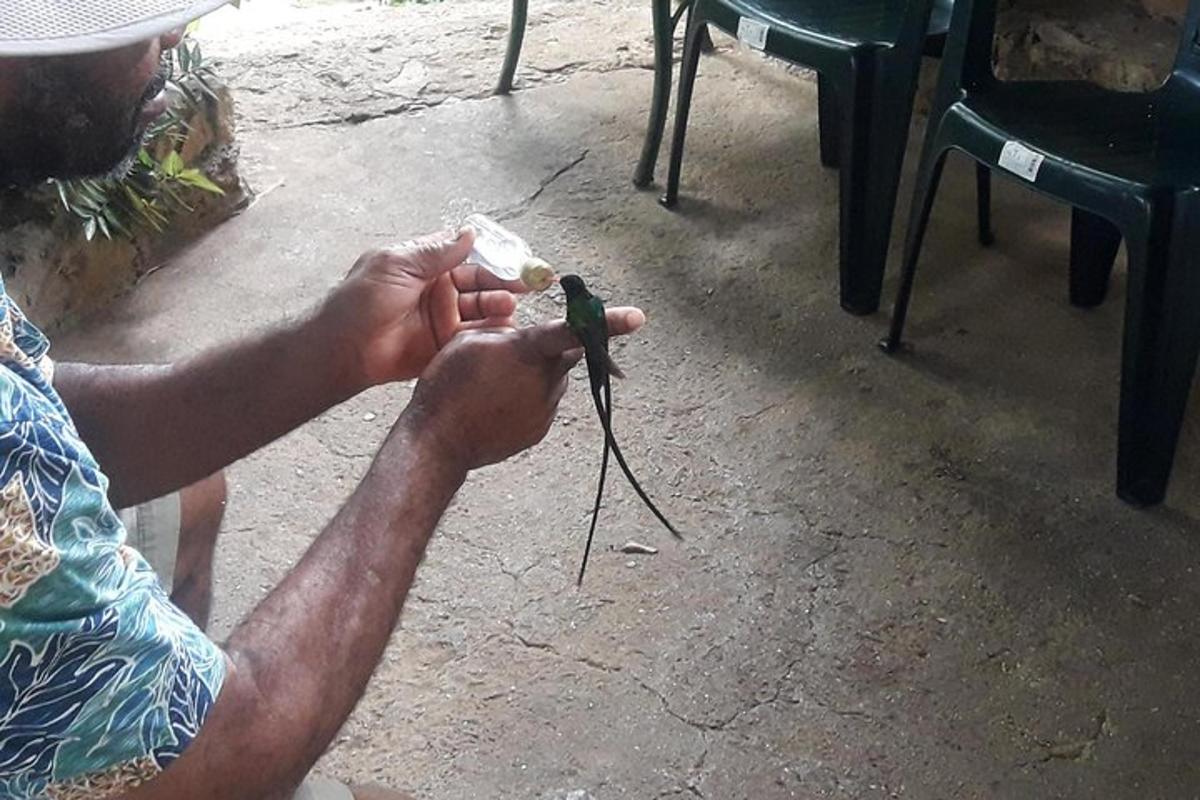 um homem segurando um pequeno objeto nas mãos