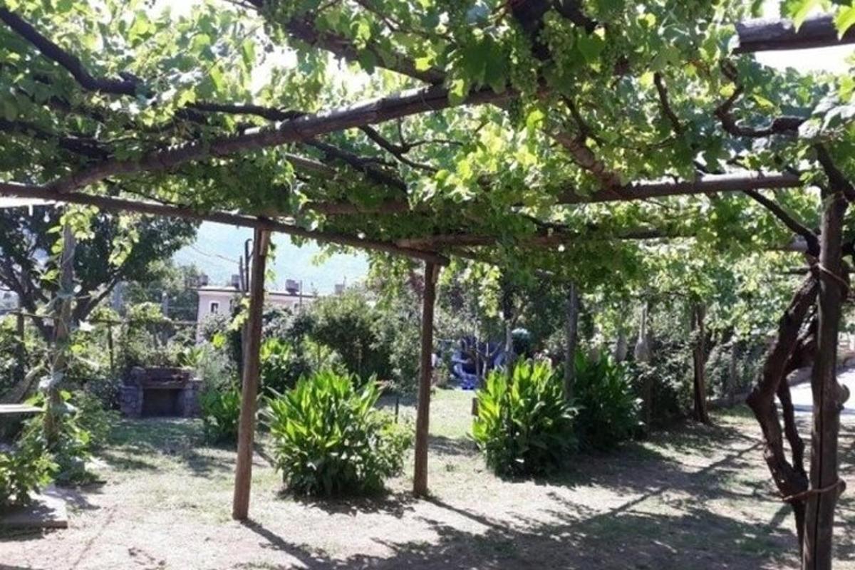 ένας κήπος με πέργκολα και φυτά