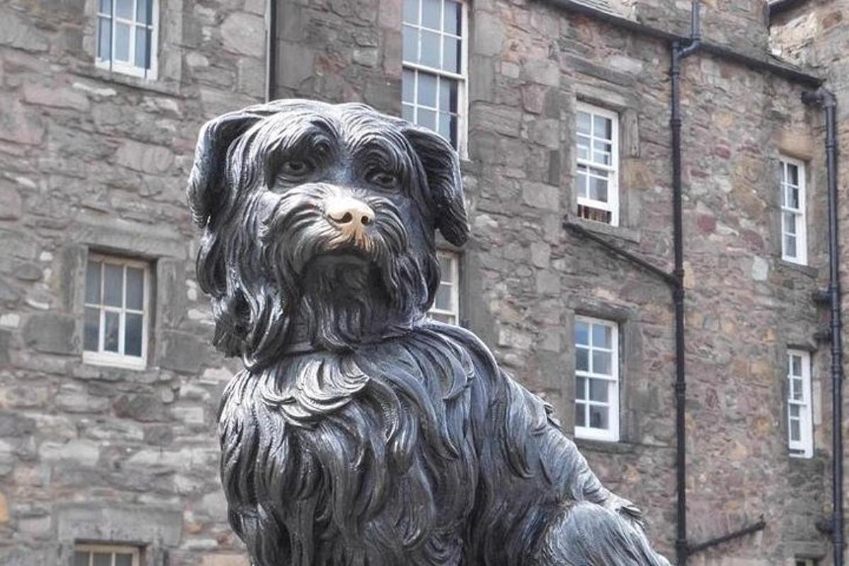 a statue of a dog in front of a building