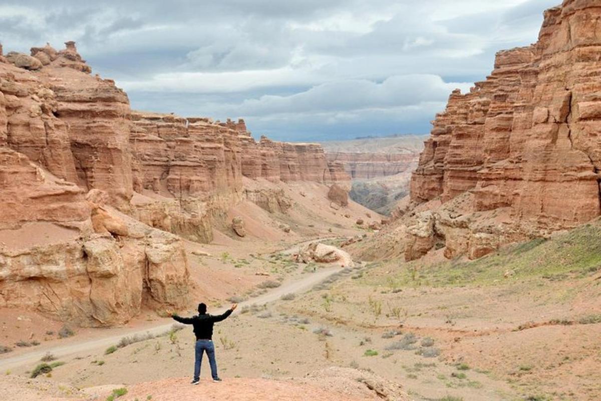 a man standing on a rock in a canyon